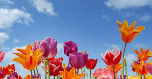 Lente4